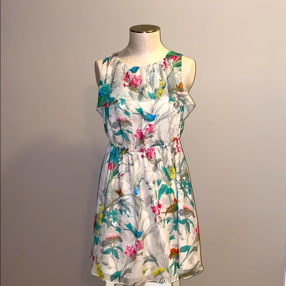 NWOT Ted Baker London Floral Dress